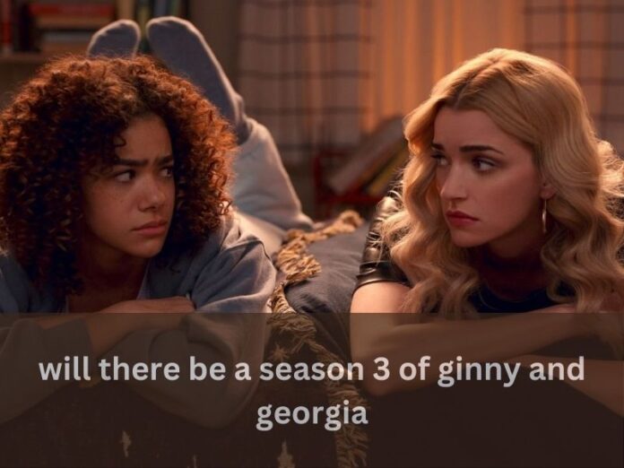 will there be a season 3 of ginny and georgia