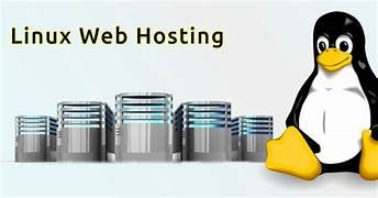 Single Domain Linux Hosting: Latest 2026 Complete Guide