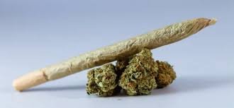 weed